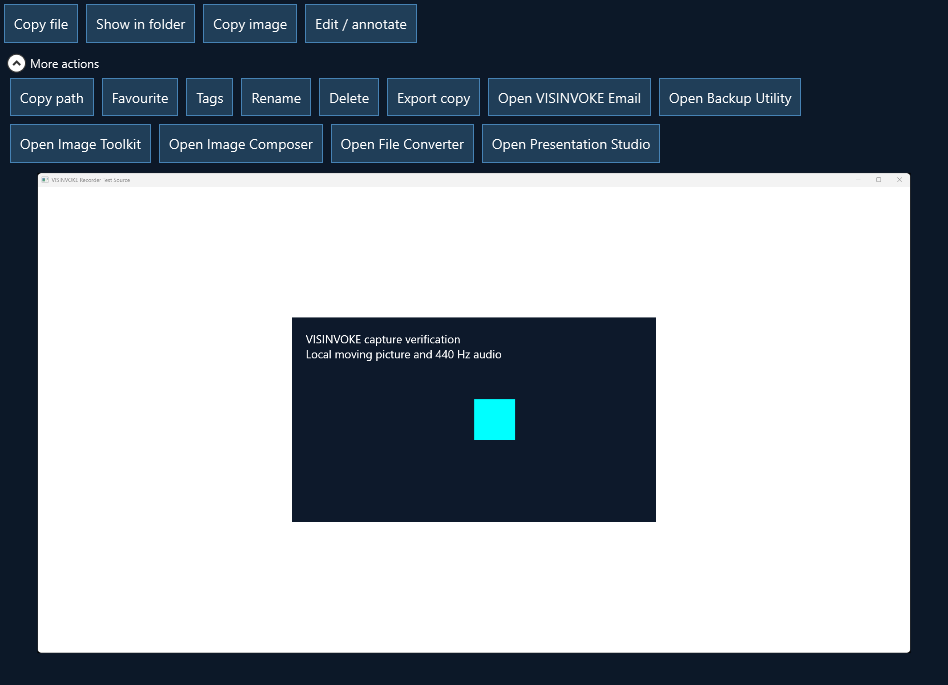 Actual More actions panel with local file actions and existing VISINVOKE product buttons.